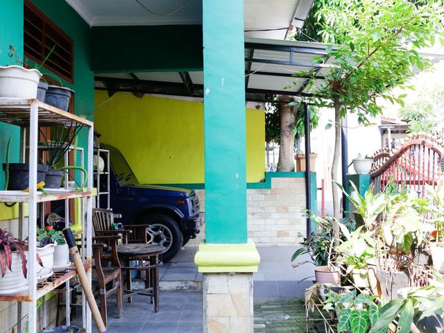 place photo 15