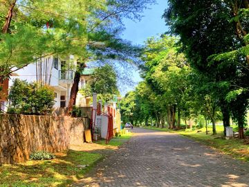 place photo 28