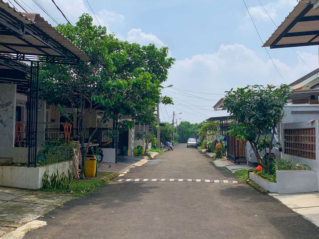 place photo 15