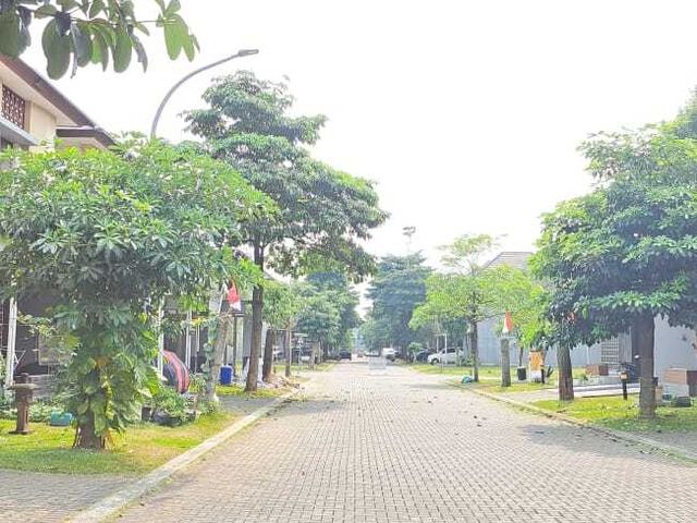 place photo 22