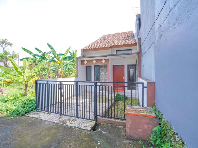 place photo 23