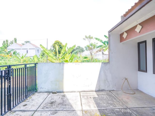 place photo 29