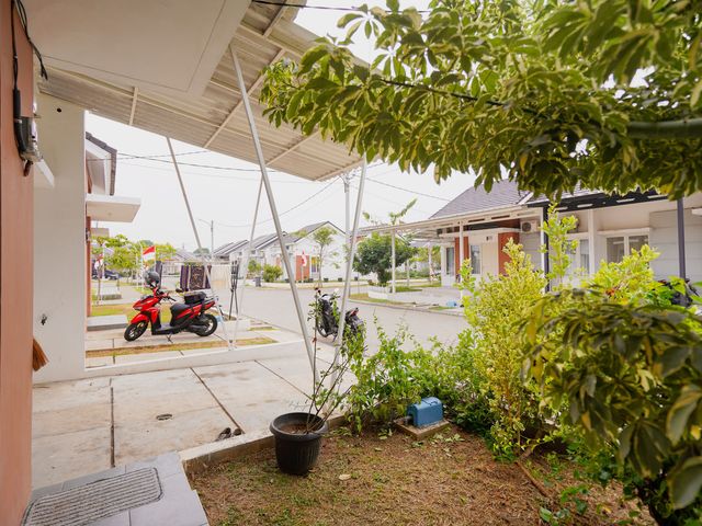 place photo 13