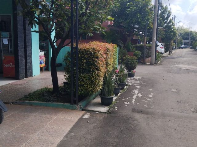 place photo 8