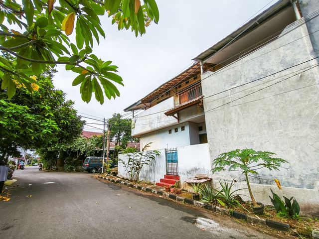 place photo 38