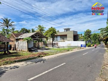 place photo 20