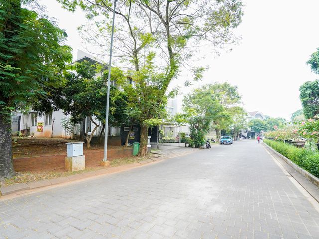 place photo 19