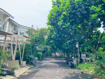 place photo 28