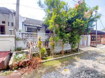 place photo 31