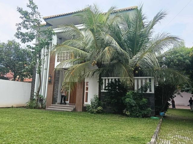 place photo 46