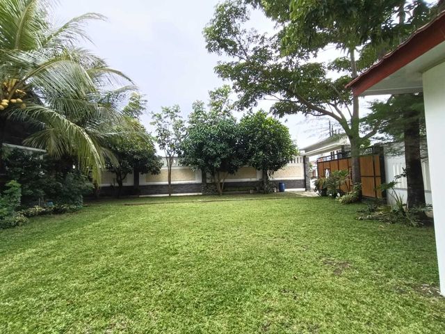 place photo 47