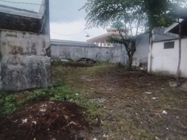 place photo 8