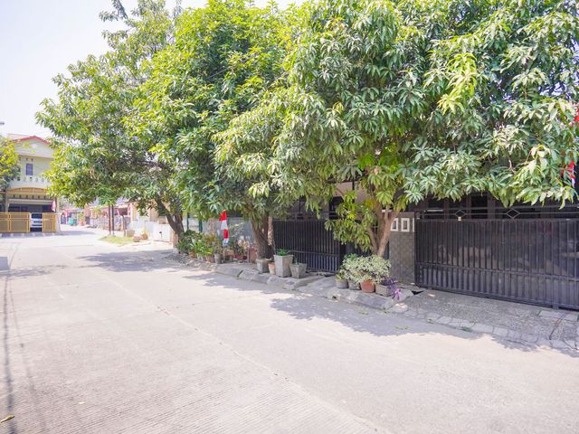 place photo 24