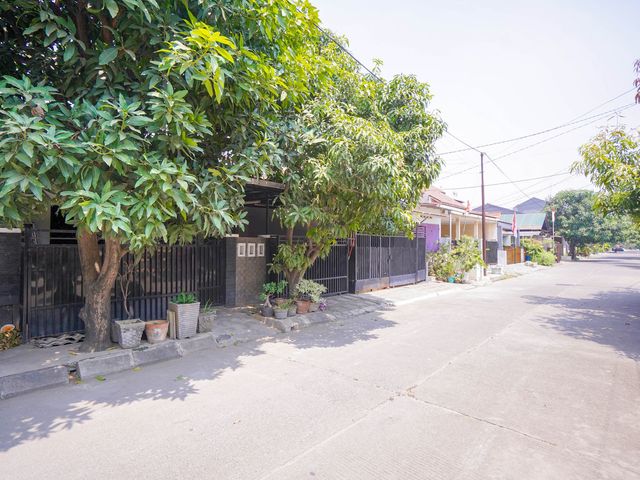 place photo 26