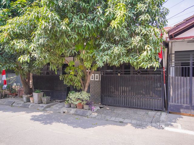 place photo 25