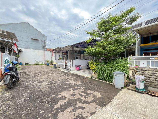 place photo 16