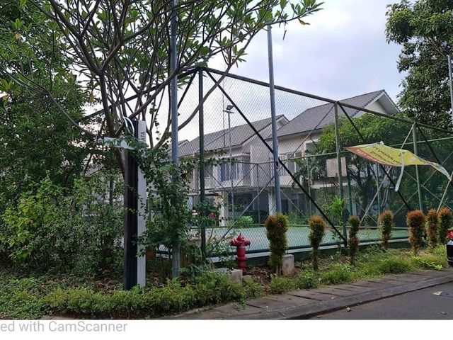 place photo 11