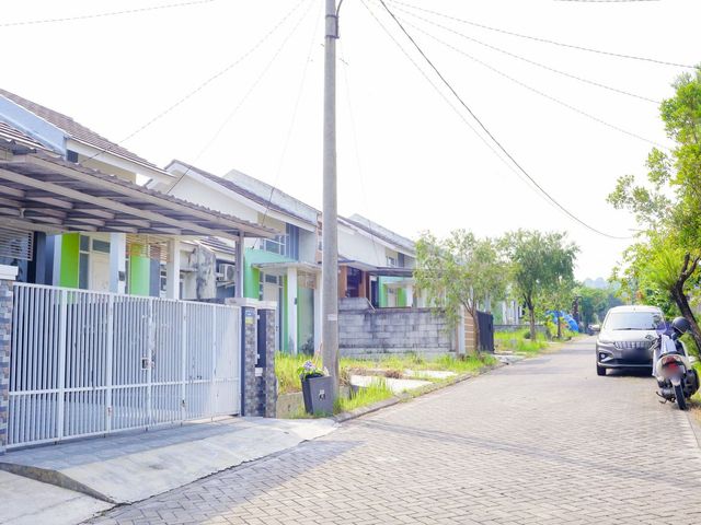 place photo 18