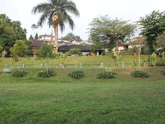 place photo 34
