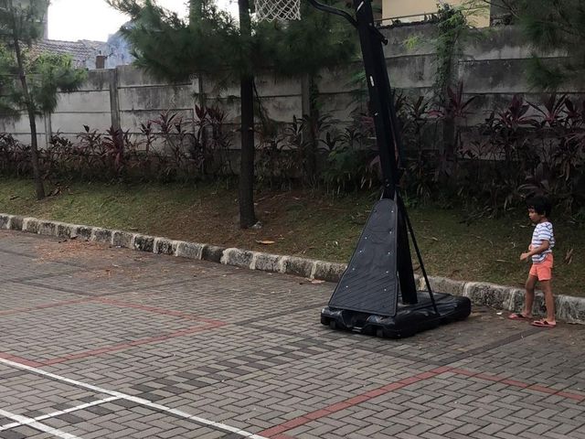 place photo 12