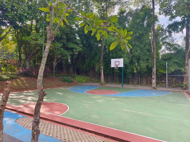 place photo 11