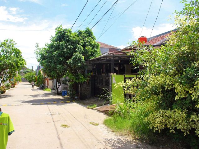place photo 17