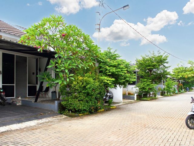 place photo 18