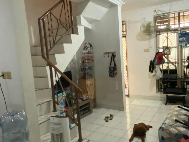 place photo 13