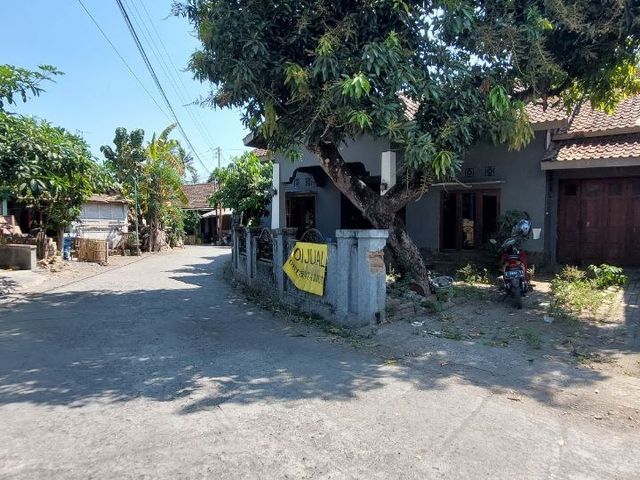 place photo 15