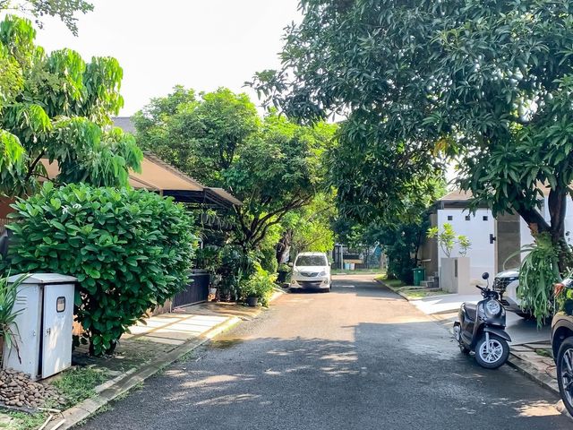 place photo 41