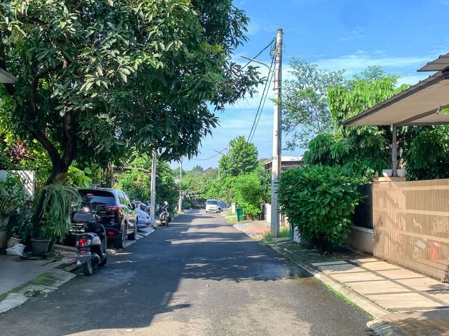 place photo 39