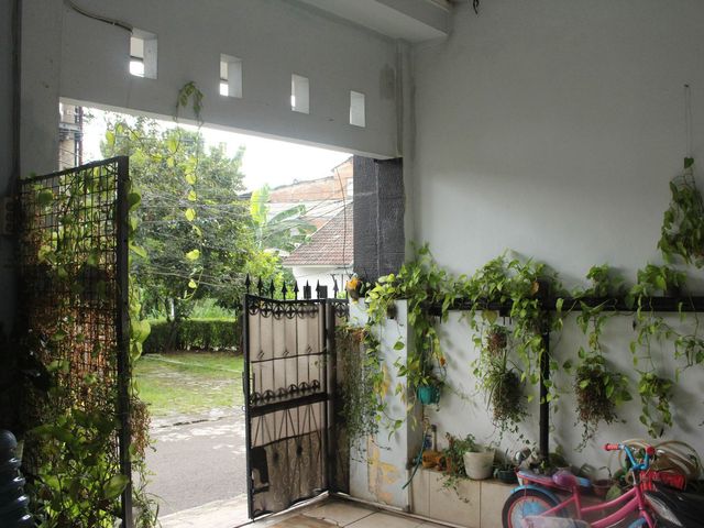 place photo 30