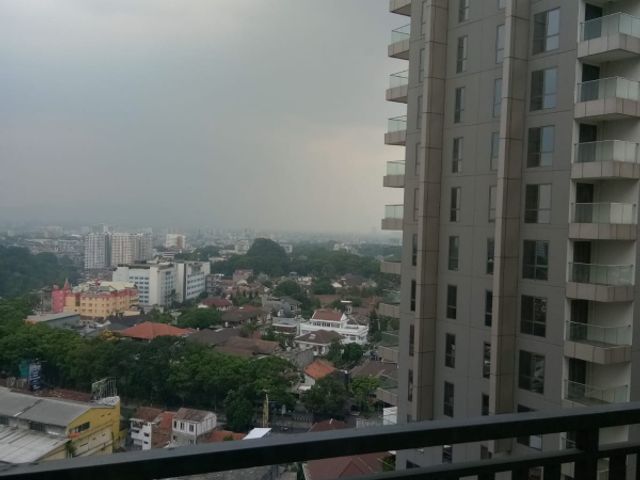 place photo 16