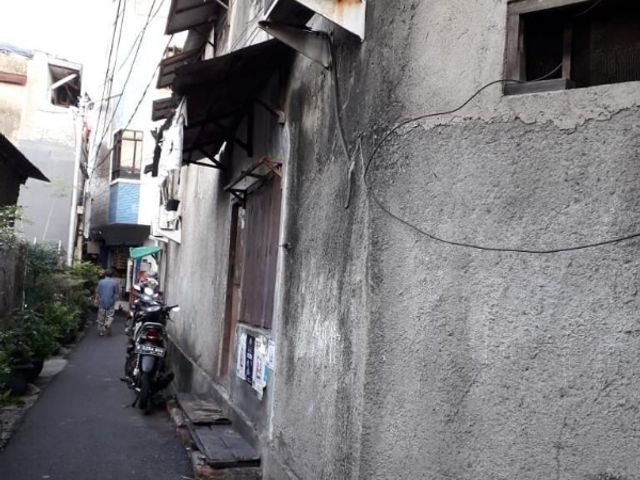place photo 11