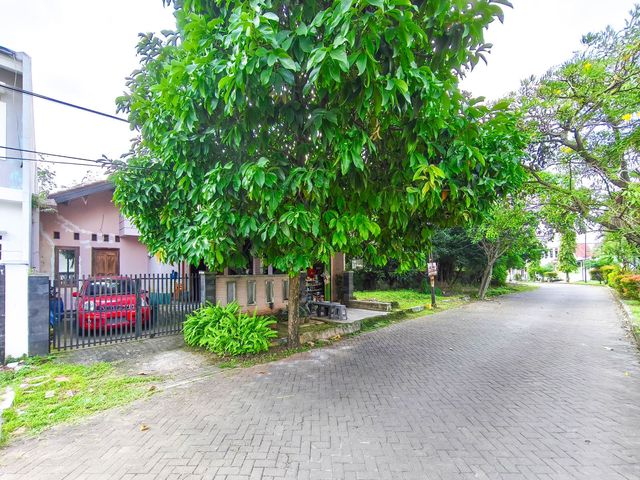 place photo 37