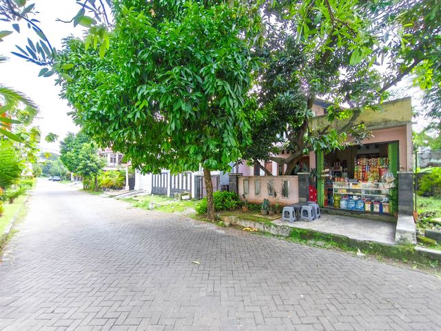 place photo 36