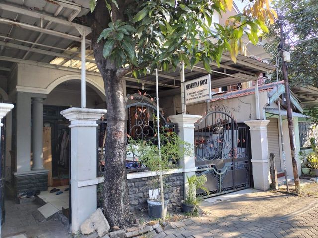 place photo 20