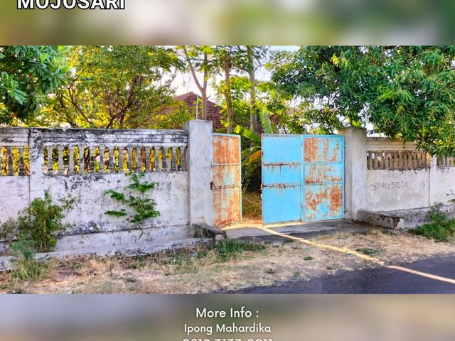 place photo 1