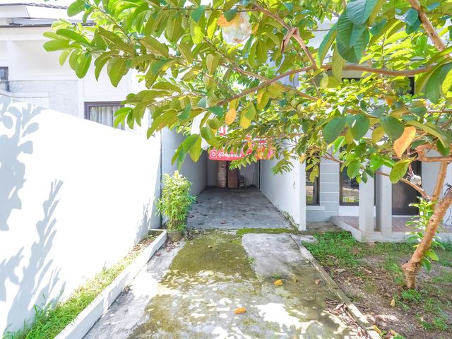 place photo 30