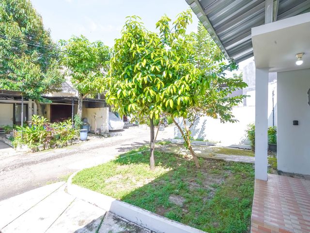 place photo 32