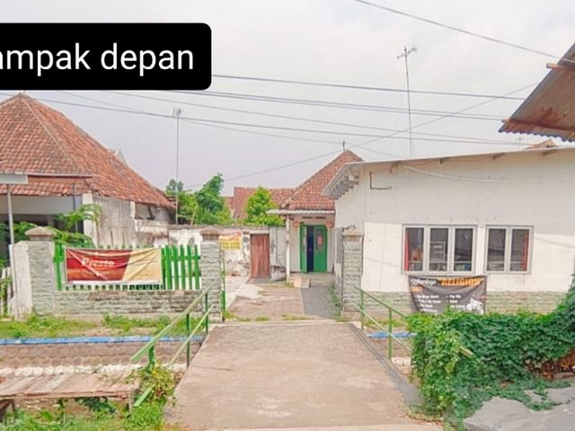 place photo 3