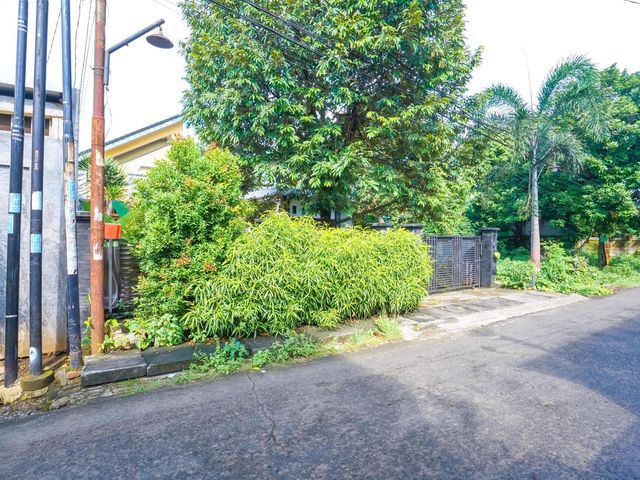 place photo 35