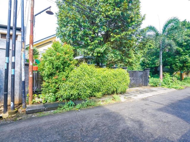 place photo 36
