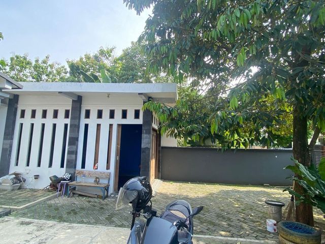 place photo 23