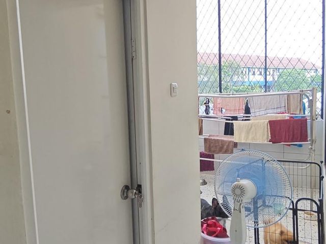 place photo 6