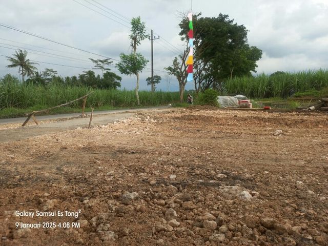 place photo 5