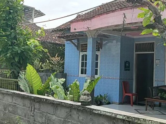place photo 6