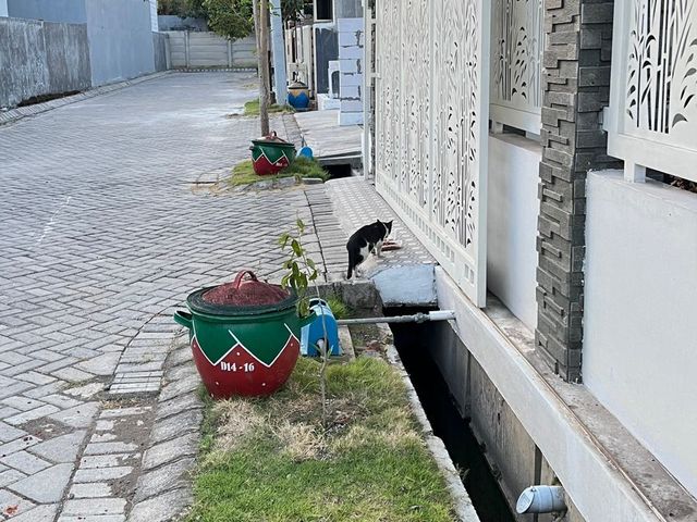 place photo 33