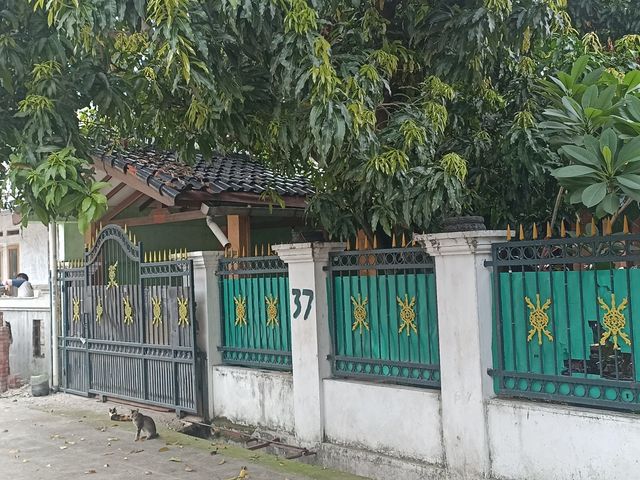place photo 7