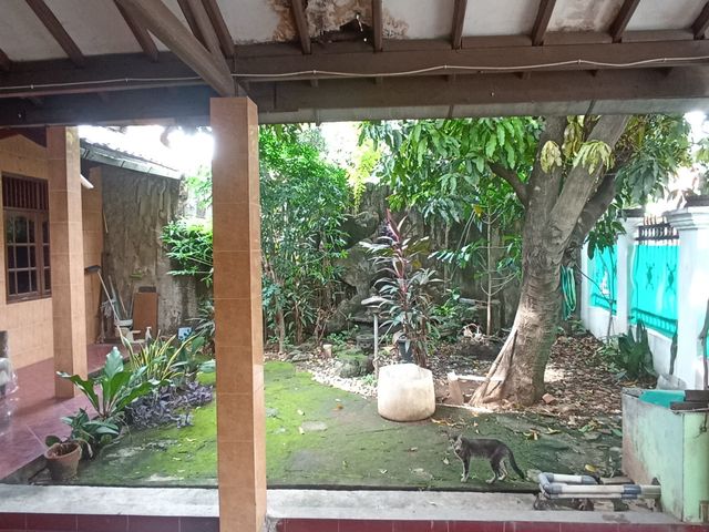 place photo 11